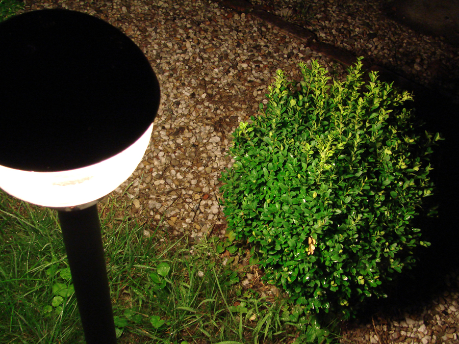 Landscape Lighting